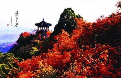 Trip: Xiangshan Park ( Leaves Collecting )
